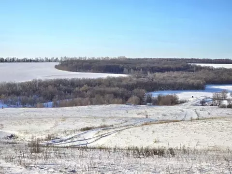 Помещение свободного назначения в Самарская область, Кинельский район, ...