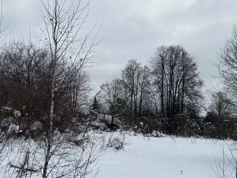 Участок в Московская область, Пушкинский городской округ, д. Талицы  ...