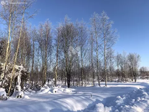 Участок в Мшинское сельское поселение, садоводческий массив Мшинская ...