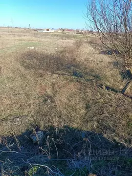 Участок в Ростовская область, Мясниковский район, Недвиговское с/пос, ...
