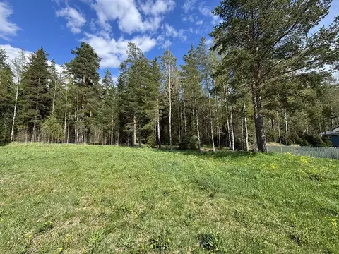 Участок в Ленинградская область, Приозерский район, Раздольевское ...