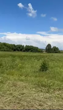 Участок в Тульская область, Ефремовский муниципальный округ, д. Кытино ...