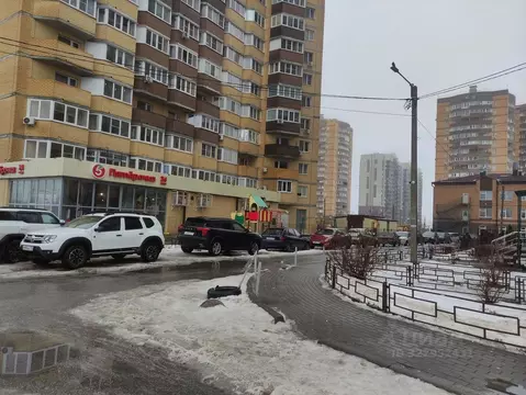 Студия Воронежская область, Воронеж Острогожская ул., 168С (27.0 м)