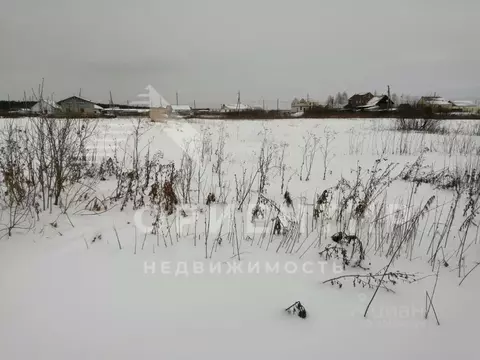 Участок в Свердловская область, Каменский городской округ, с. Позариха ...