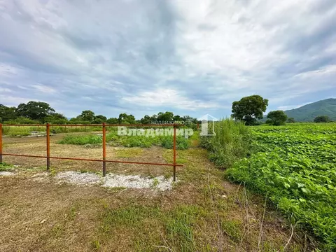 Участок в Приморский край, Партизанский муниципальный округ, с. ...