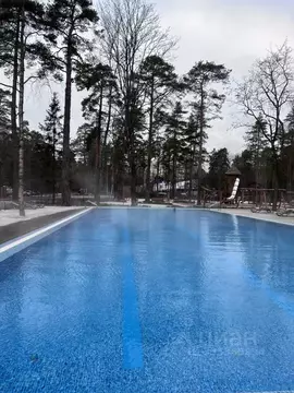 Студия Санкт-Петербург, Санкт-Петербург, Зеленогорск Приморское ш., ...