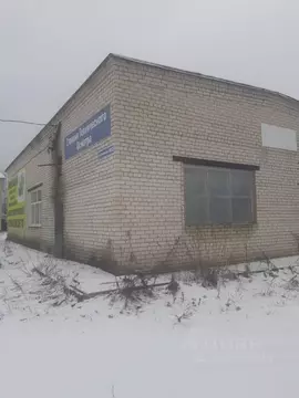 Помещение свободного назначения в Нижегородская область, Воскресенское ...