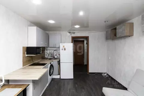 Студия Тюменская область, Тюмень ул. 50 лет ВЛКСМ, 91а (19.0 м)