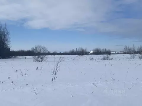 Участок в Московская область, Луховицы д. Третьяково,  (11.99 сот.)