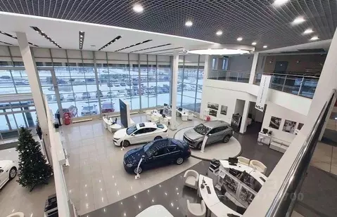 Помещение свободного назначения в Санкт-Петербург Богатырский просп., ...