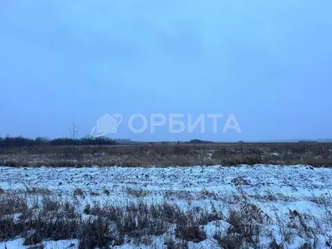 Участок в Тюменская область, Тюмень  (100.0 сот.)