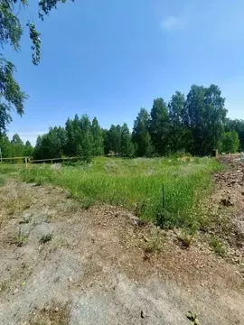 Участок в Челябинская область, Сосновский муниципальный округ, пос. ...