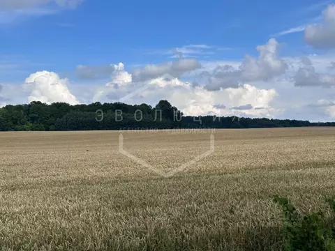 Участок в Калининградская область, Гурьевский муниципальный округ, ...