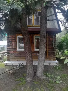 Участок в Свердловская область, Екатеринбург Буровик-2 СНТ, 4-я линия ...