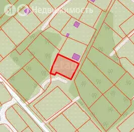 Участок в Новосибирск, СНТ Черёмушки (12 м)