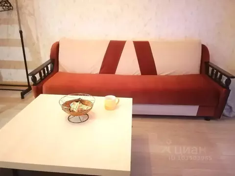 Студия Ярославская область, Ярославль ул. Белинского, 27 (24.0 м)