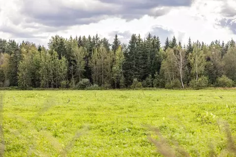 Участок в Московская область, Одинцовский городской округ, Мэдисон ...