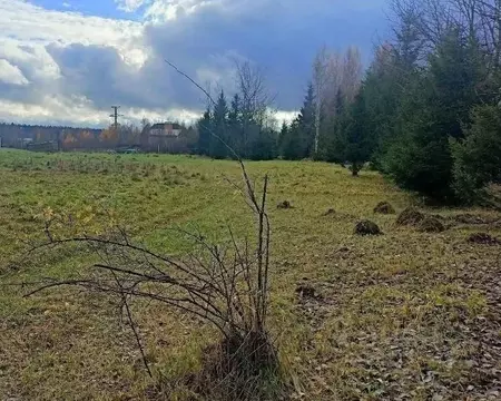 Участок в Московская область, Дмитровский муниципальный округ, д. ...