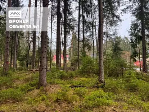 Участок в Санкт-Петербург, Санкт-Петербург, Зеленогорск ул. 2-я Лесная ...