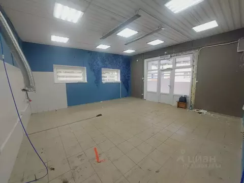 Помещение свободного назначения в Калининградская область, Калининград ...