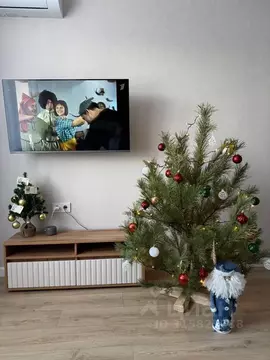 Студия Самарская область, Самара ул. Советской Армии, 177 (44.0 м)