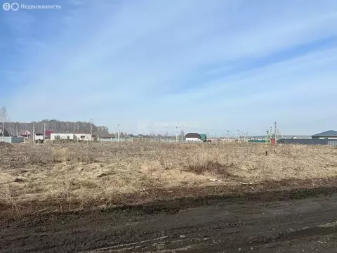 Участок в Чебаркуль, Осенняя улица (15.76 м)