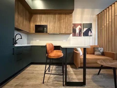 Студия Москва проезд Серебрякова, 11к2 (27.0 м)