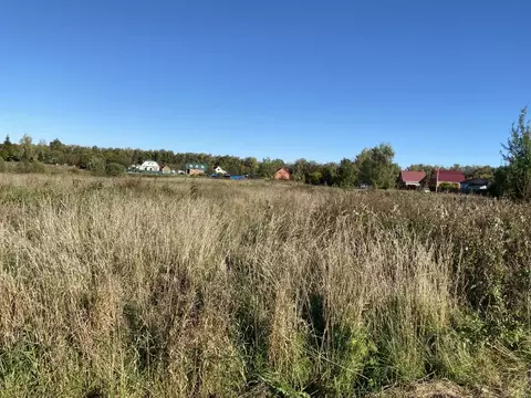 Участок в Московская область, Луховицы муниципальный округ, д. ...