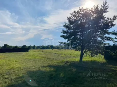 Участок в Калужская область, Дзержинский муниципальный округ, с. ...