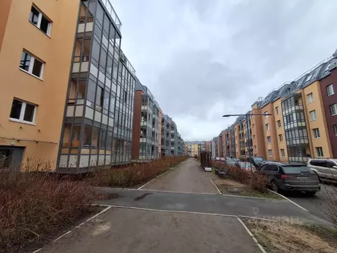 Студия Санкт-Петербург Пулковское ш., 73к3 (23.4 м)