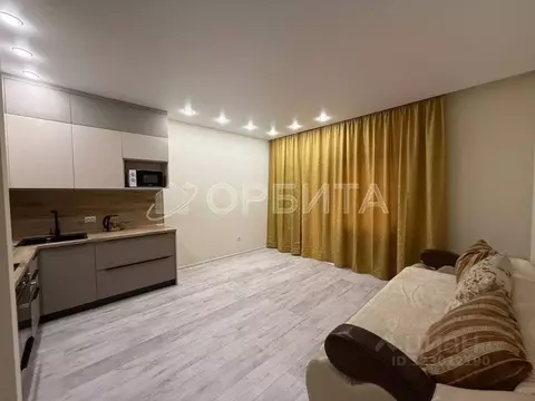 Студия Тюменская область, Тюменский муниципальный округ, д. Дударева ...