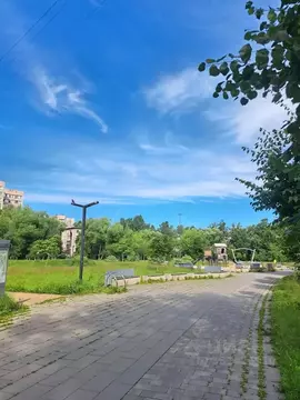 1-к кв. Санкт-Петербург Витебский просп., 55 (32.5 м)
