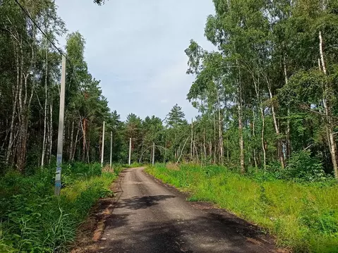 Участок в Московская область, Дмитровский муниципальный округ, Оазис ...