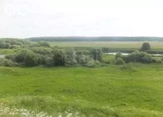 Участок в Владимирская область, Суздальский муниципальный округ, село ...