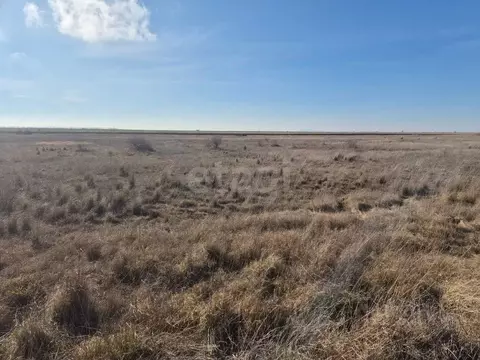 Участок в Крым, Ленино пгт ул. Трудовая (10.31 сот.)