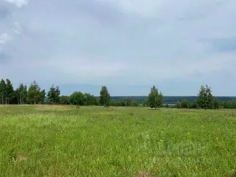 Участок в Владимирская область, Александровский муниципальный округ, ...