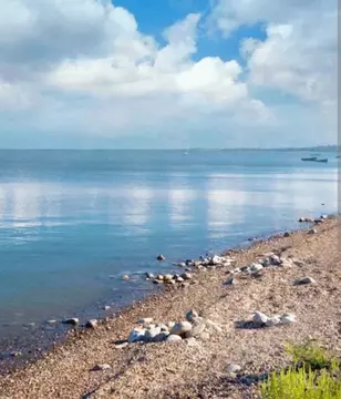 Участок в Краснодарский край, Щербиновский район, Шабельское с/пос, с. ...