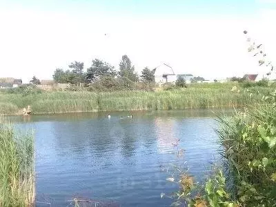 Дом в Брянская область, Сельцо  (15 м)