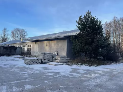 Помещение свободного назначения в Московская область, Люберцы пос. ...