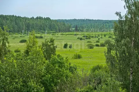Участок в Ленинградская область, Всеволожский район, Колтушское ...