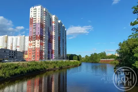 Студия Санкт-Петербург просп. Энергетиков, 11к2 (26.0 м)