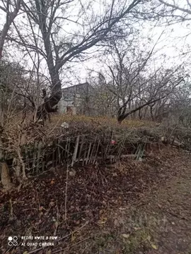 Участок в Белгородская область, Яковлевский муниципальный округ, с. ...