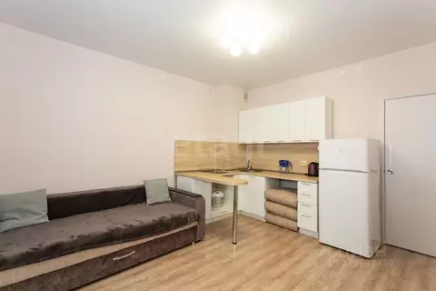 Студия Новосибирская область, Новосибирск ул. Петухова, 105 (23.3 м)