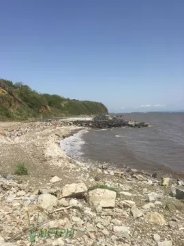 Участок в Приморский край, Надеждинский район, пос. Девятый Вал  (8.55 ...