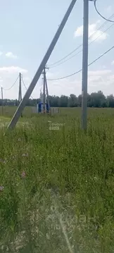 Участок в Тюменская область, Тюменский муниципальный округ, д. Большие ...