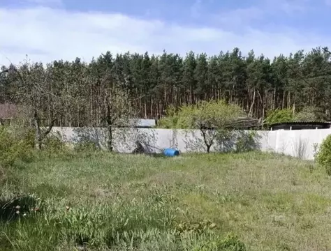 Участок в Воронежская область, Воронеж Колос-1 СНТ, ул. Центральная, ...