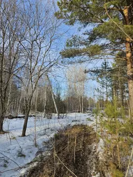 Участок в Тюменская область, Нижнетавдинский муниципальный округ, ...