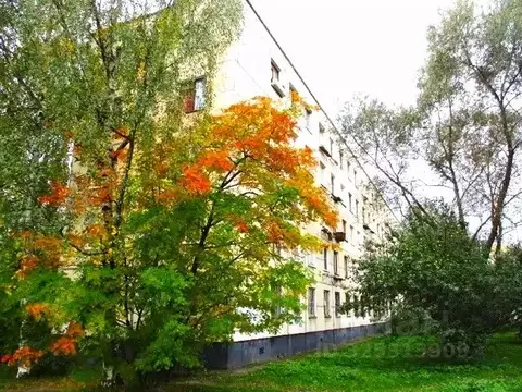 4-к кв. Санкт-Петербург ул. Зины Портновой, 48 (48.6 м)