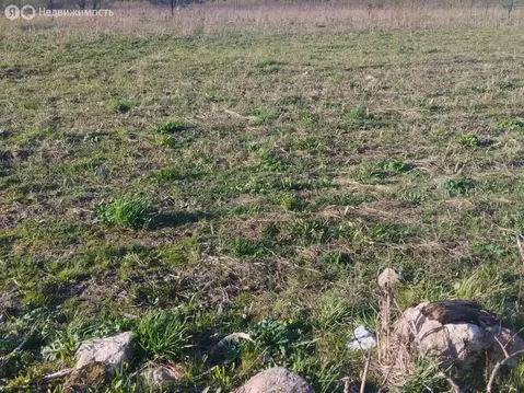 Участок в Волосовский район, Большеврудское сельское поселение, ...