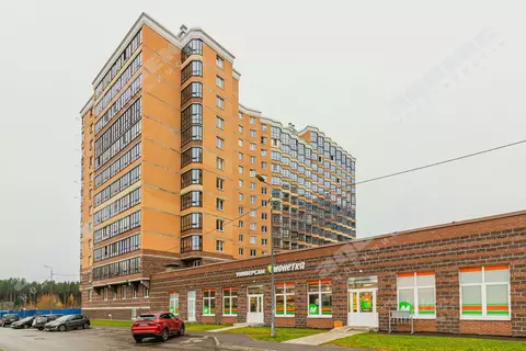 Студия Ленинградская область, Всеволожск ш. Дорога Жизни, 7к1 (22.2 м)